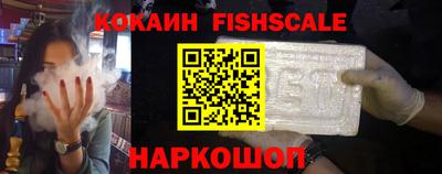 гашик Моздок