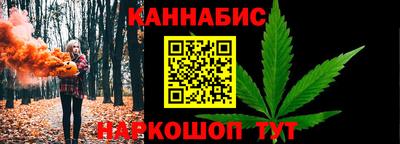 гашик Моздок
